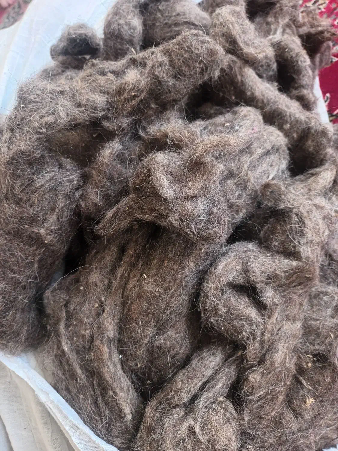 پشم تمیز و شسته شده|رختخواب، بالش، پتو|آذرشهر, |دیوار