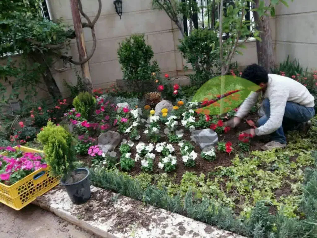 کاشت باغ باغچه چهار فصل گلدار و میوه دار و سبز|خدمات باغبانی و درختکاری|لنجان, |دیوار