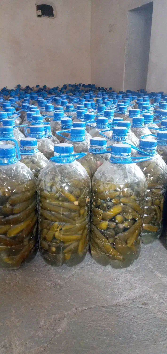 خیارشور‌اورگانیک|خوردنی و آشامیدنی|چنگ الماسی, |دیوار