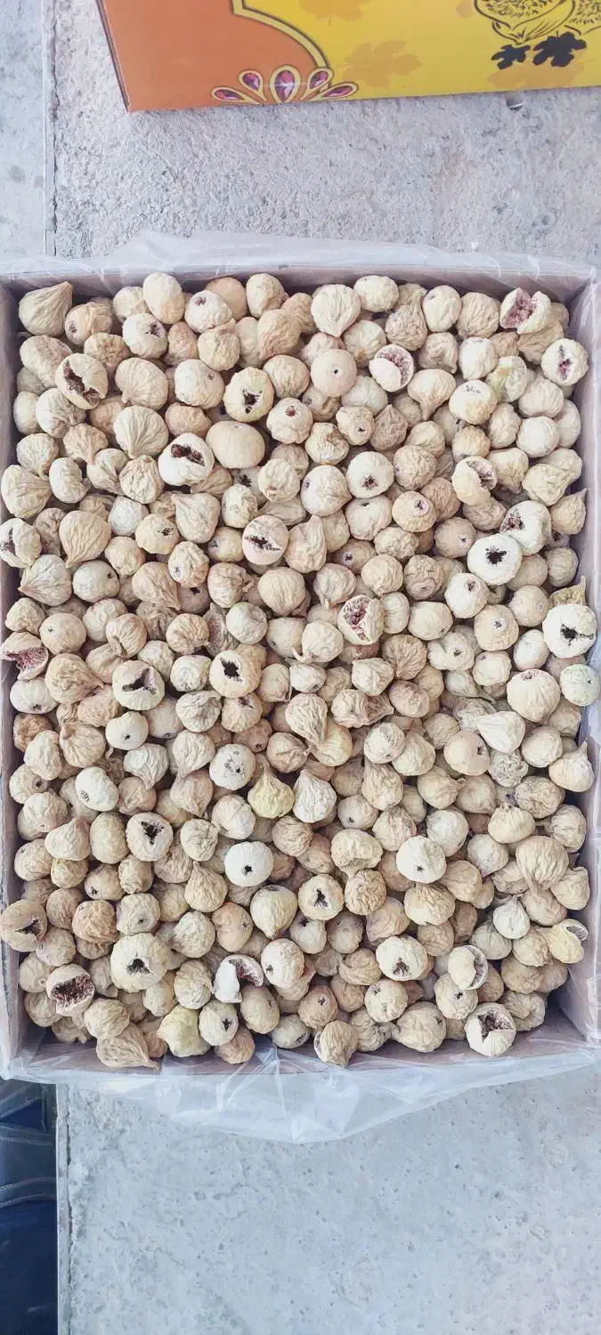 خرید عمده انجیر خشک از قطب جهانی انجیر|خوردنی و آشامیدنی|رونیز, |دیوار