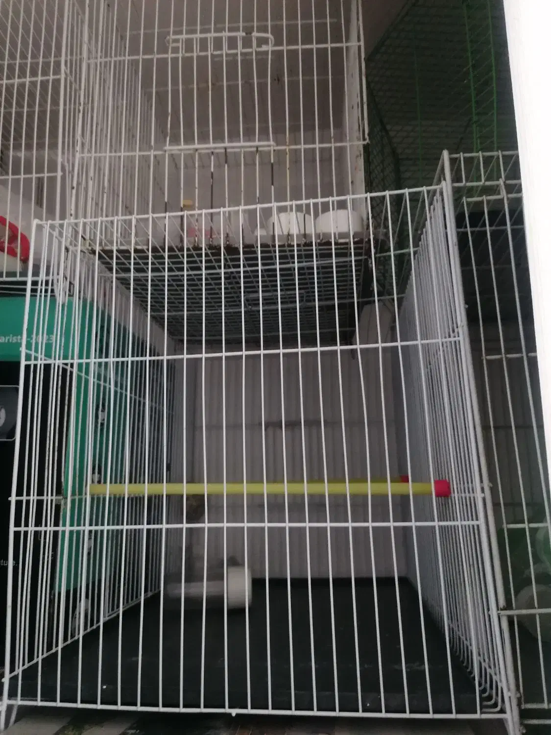 سلام چند عدد قفس یدونش گرد و بقیه ساده|لوازم جانبی حیوانات|نیشابور, بنیاد شهید|دیوار