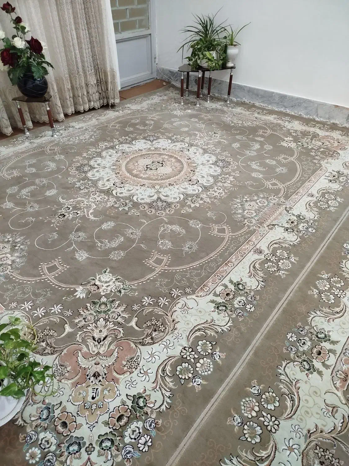 فرش|فرش|تربت‌حیدریه, آغوی|دیوار