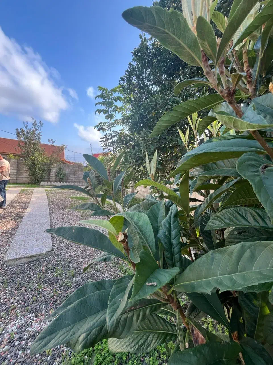 ویلا مبله،330متر زمین، با بنای 65متری/دوخوابه|فروش خانه و ویلا|خشکبیجار, |دیوار