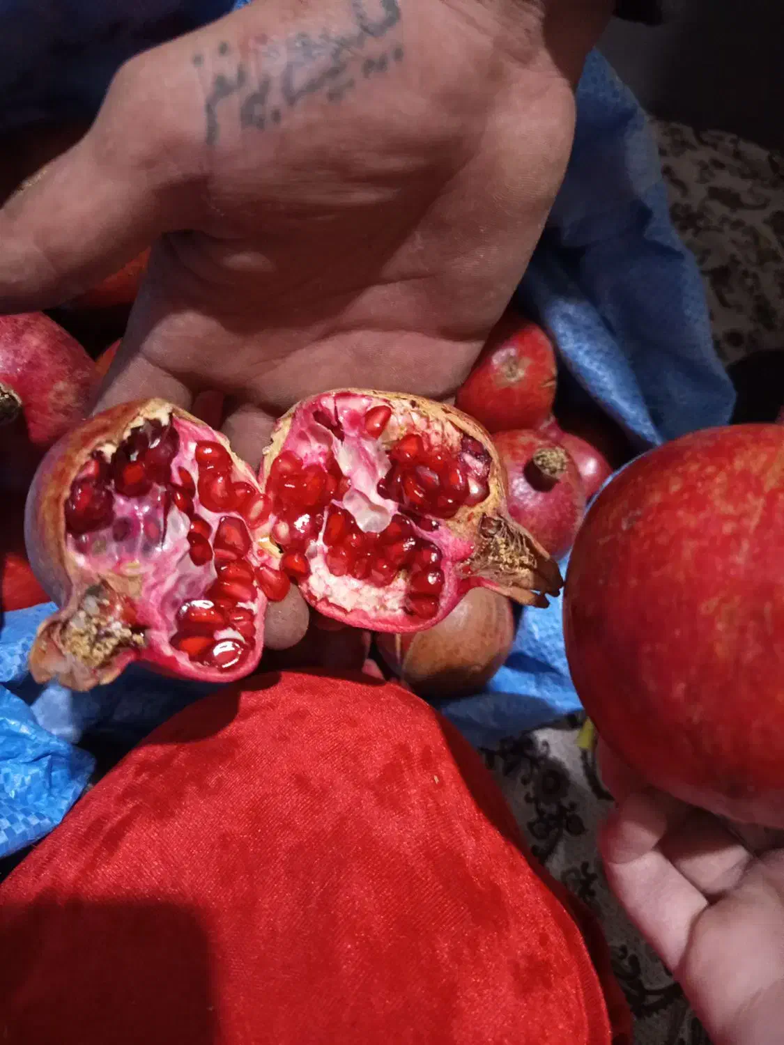 حراج  حراج فقط ۷۰تومن شیرین|حراج|تربت جام, شیخ احمد جامی|دیوار