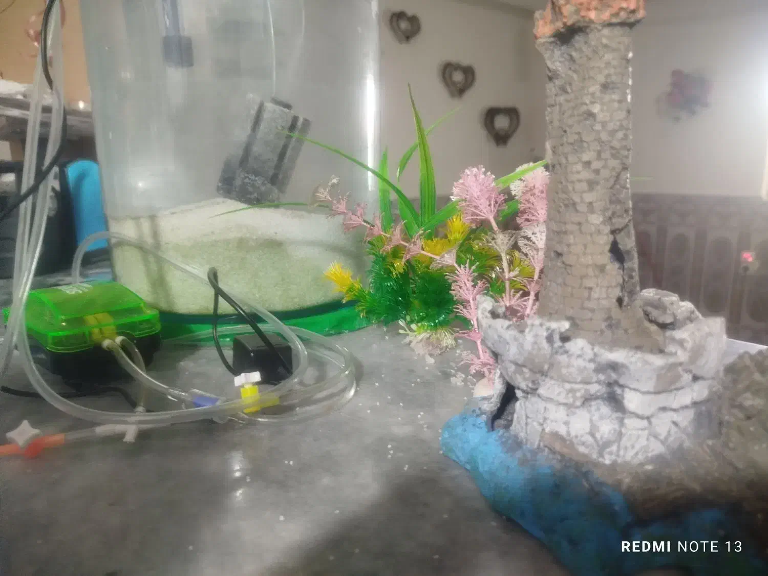 زیرقیمت بازار میفروشم حراج،آکواریوم استوانه ای|ماهی|کنارک, |دیوار