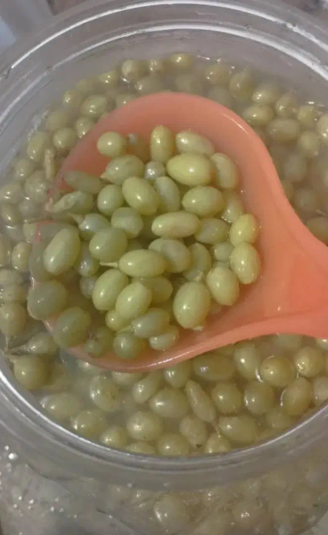 غور غوره خونگی با آبغوره سنتی|خوردنی و آشامیدنی|شیراز, فرهنگ شهر|دیوار