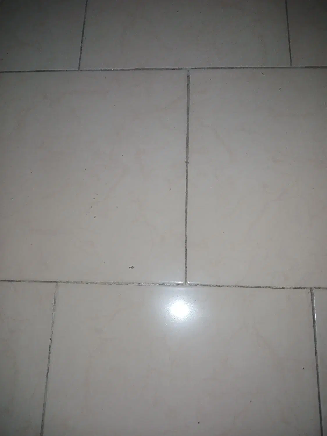 کاشی کاری و سرامیک|خدمات پیشه و مهارت|خمام, |دیوار