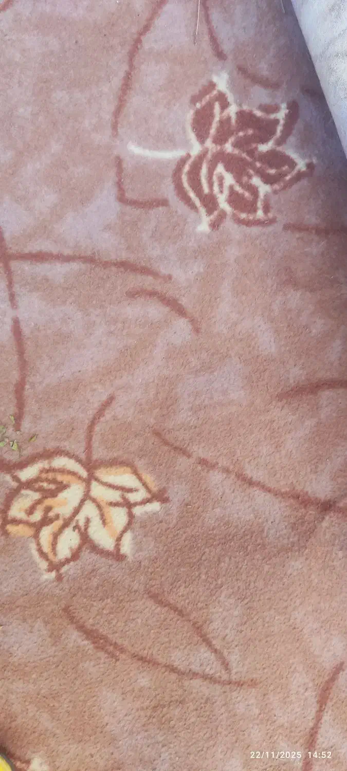 موکت|موکت|ایلام, |دیوار