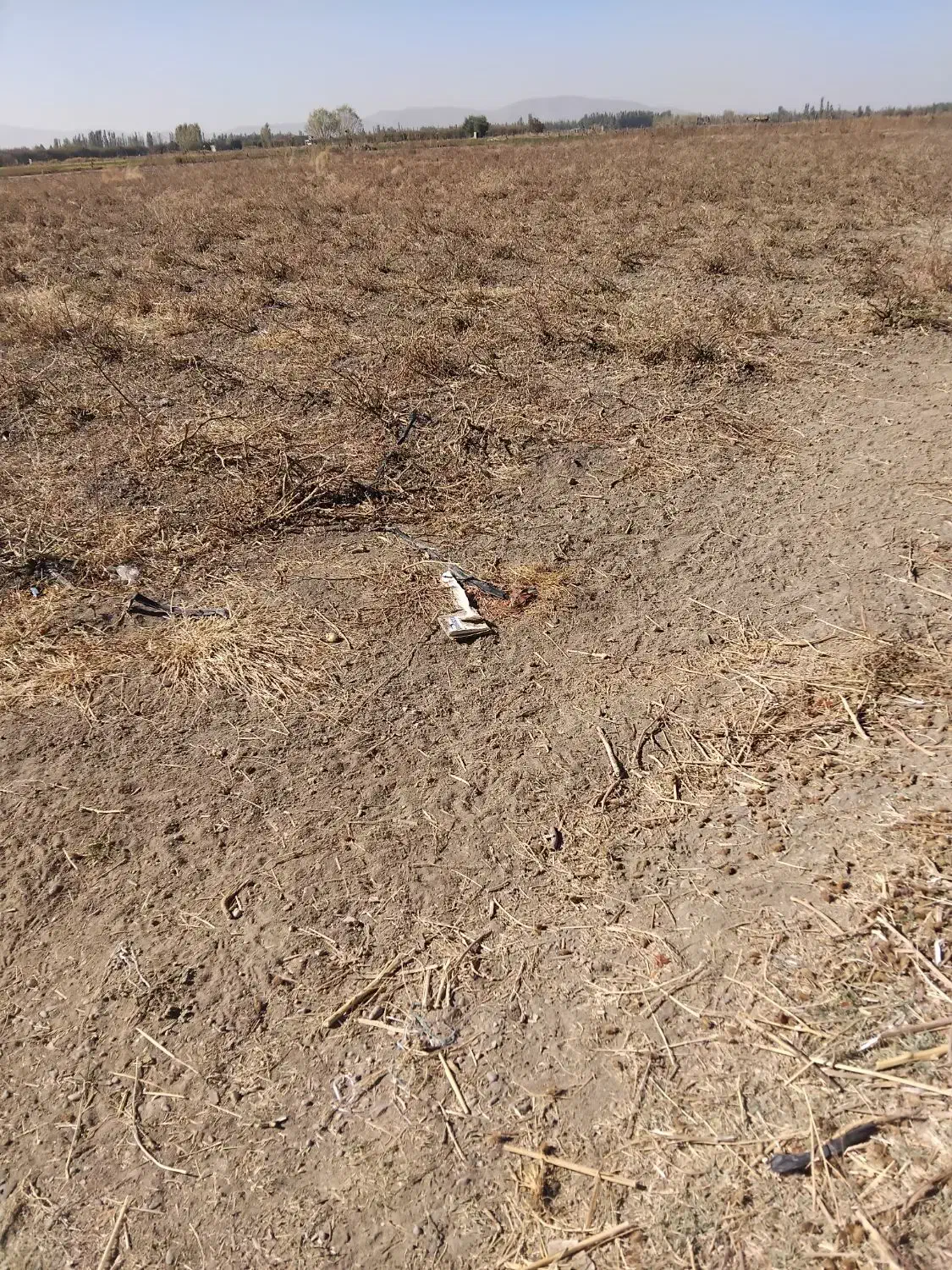 اجاره زمین کشاورزی|اجارهٔ دفتر صنعتی، کشاورزی، تجاری|میاندوآب, |دیوار