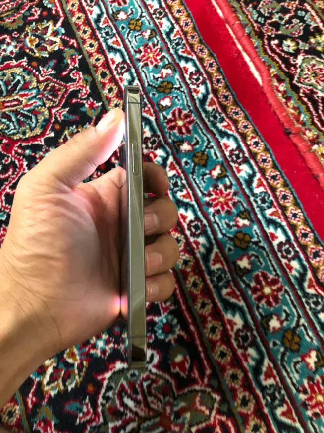 iphone 12pro|موبایل|سنندج, |دیوار