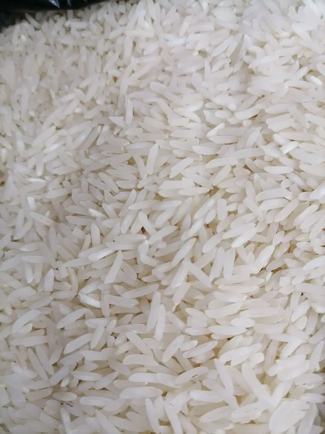 برنج فجر سوزنی ۲۵کیلو|خوردنی و آشامیدنی|کردکوی, |دیوار