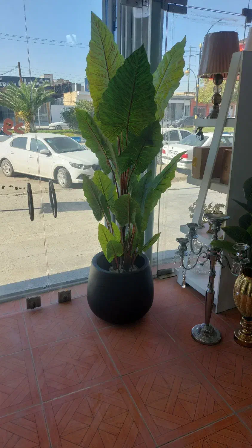 درختچه مصنوعی|گل مصنوعی|بهبهان, |دیوار