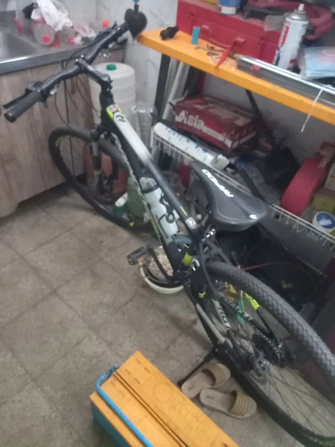 دوچرخه راپیدو|دوچرخه، اسکیت، اسکوتر|بروجرد, |دیوار