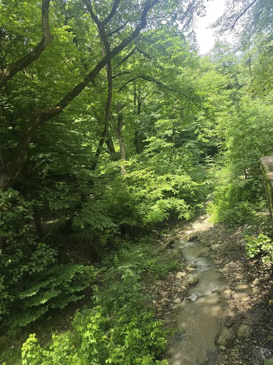 جویای کار|استخدام صنعتی، فنی، مهندسی|بیرجند, |دیوار