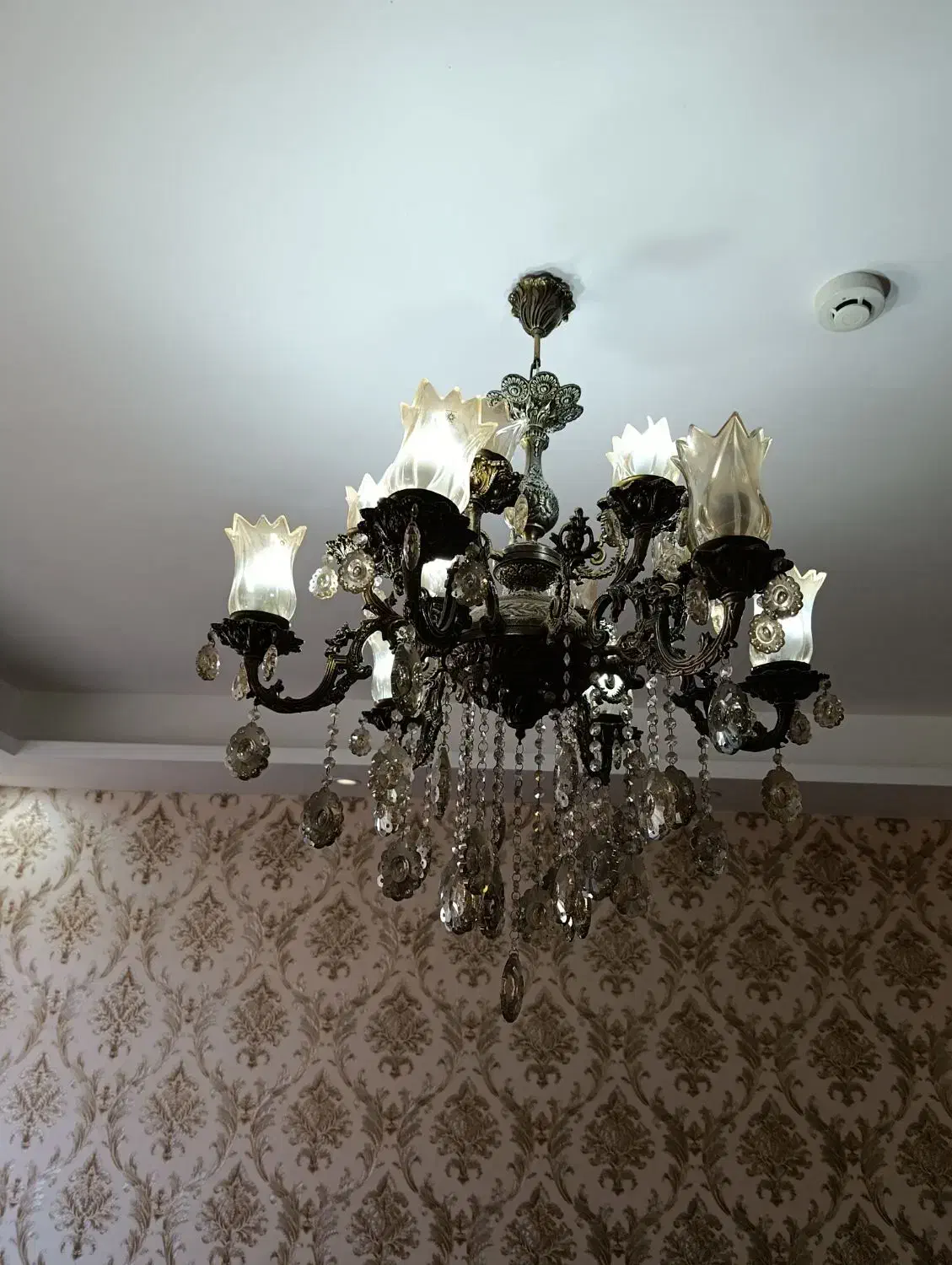 لوستر|لوستر و چراغ آویز|بندرعباس, |دیوار