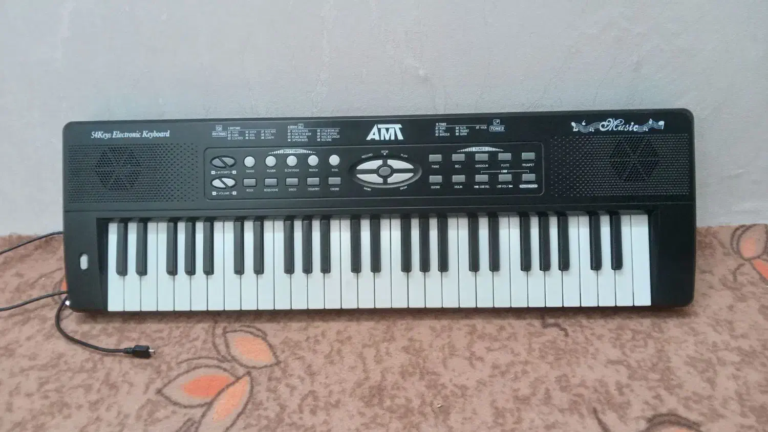 ارگ|پیانو، کیبورد، آکاردئون|نیشابور, هفده شهریور|دیوار