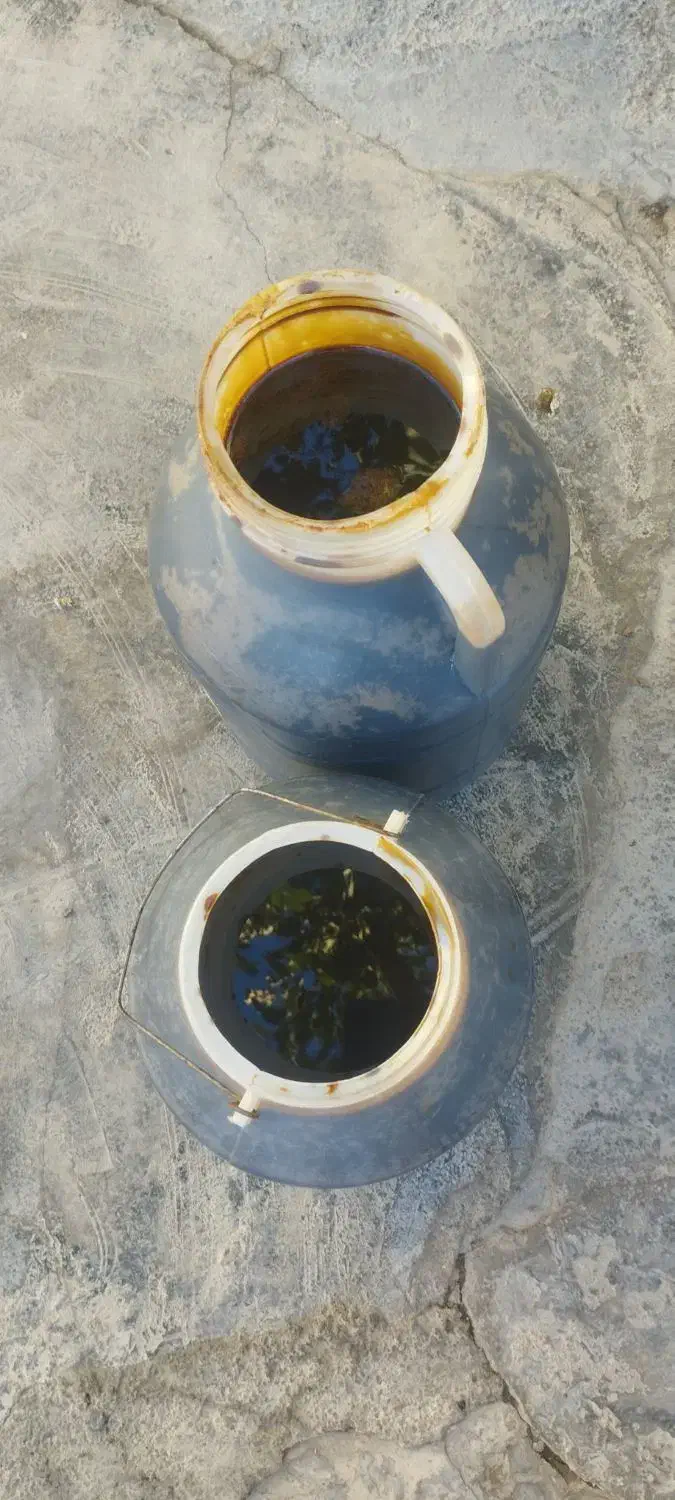 شیره ی انگور|خوردنی و آشامیدنی|شاهینشهر, خانه کارگر|دیوار