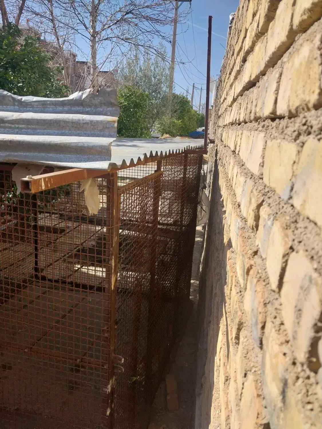 قفس مرغ|لوازم جانبی حیوانات|شیراز, محراب|دیوار