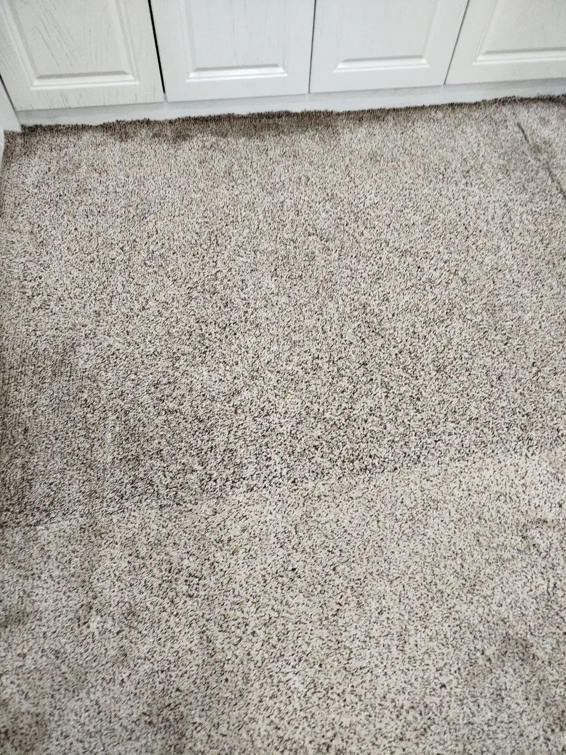 موکت پرز بلند پالاز|موکت|مشهد, اقبال|دیوار