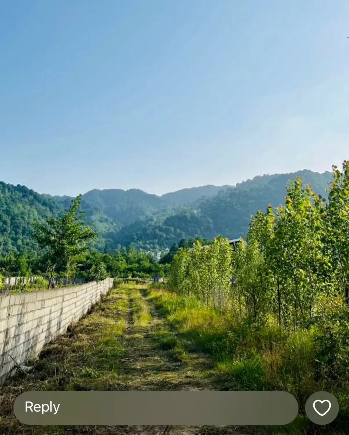زمین ۹۷۵مترچسب مسکونی فرصت عالی ویوسنددیزبن معاوضه|فروش زمین و ملک کلنگی|لاهیجان, لیالستان|دیوار