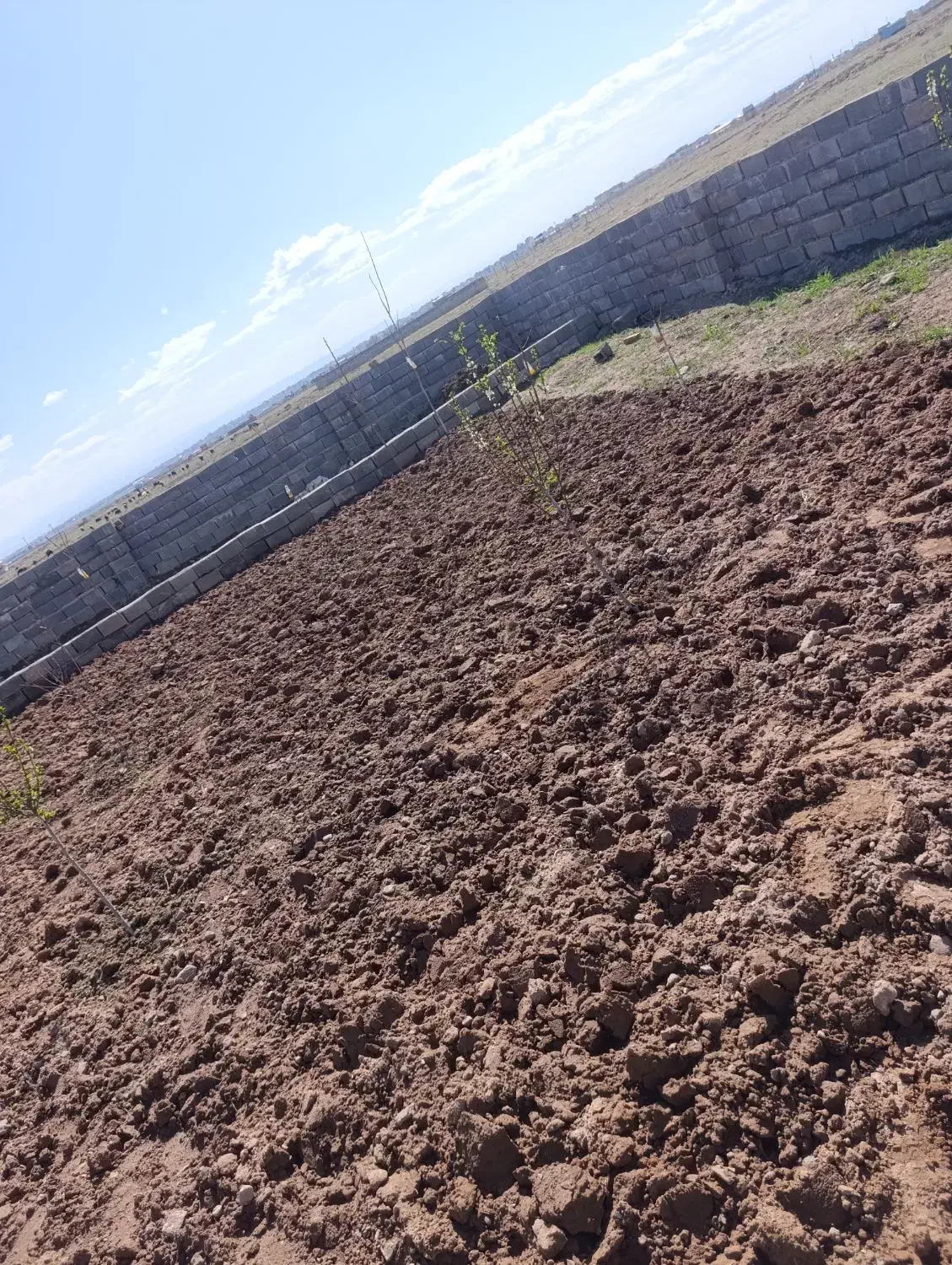 باغچه فروشی|فروش زمین و ملک کلنگی|نیشابور, مازول|دیوار