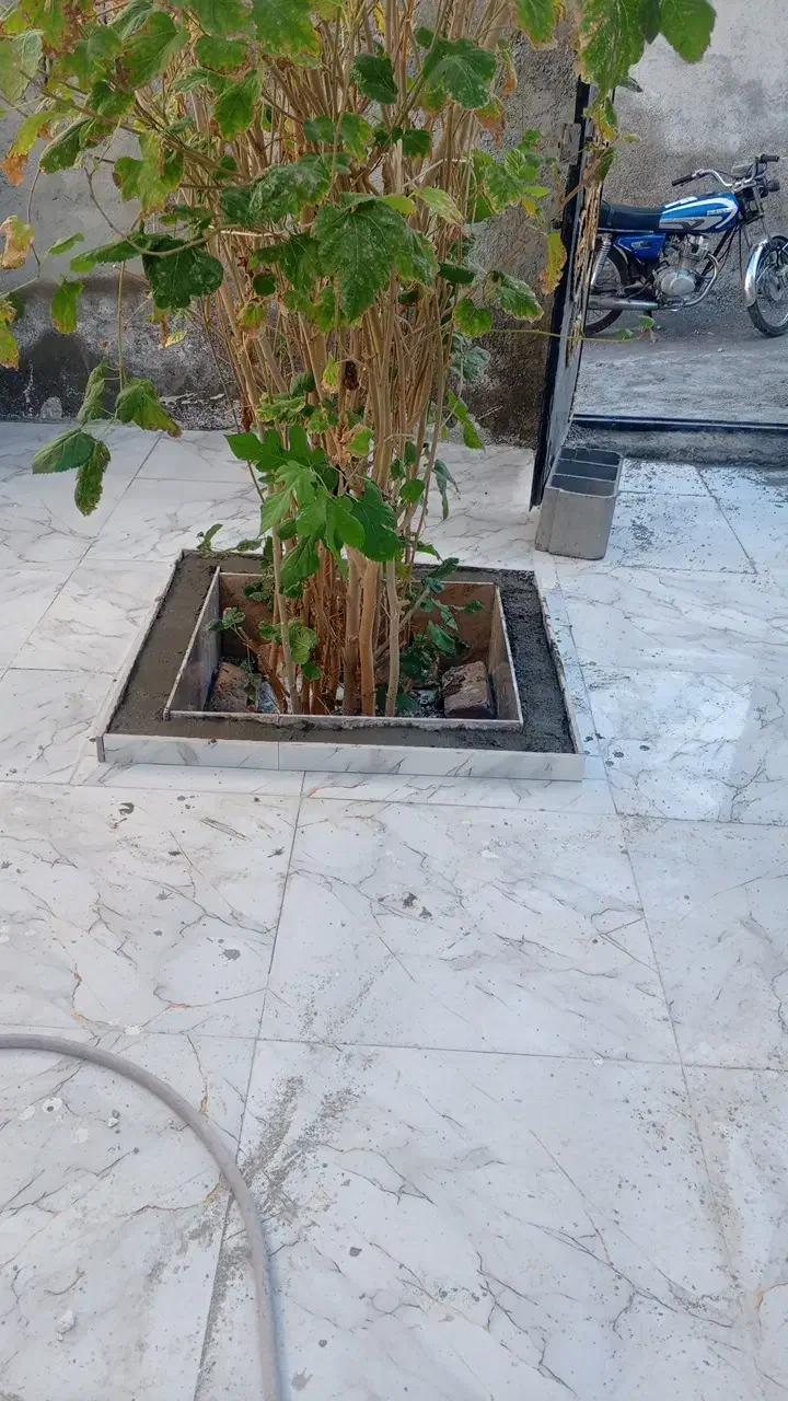 خدمات کاشیکاری|خدمات پیشه و مهارت|میناب, |دیوار