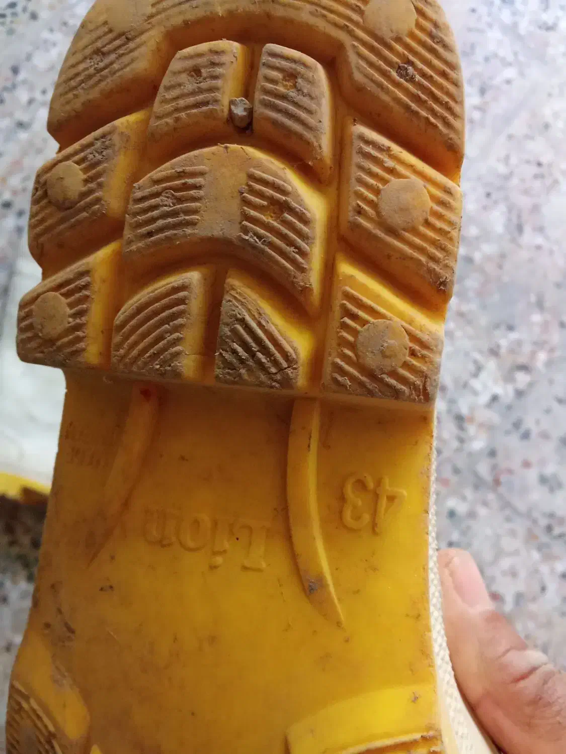 چکمه|کیف، کفش، کمربند|کازرون, |دیوار