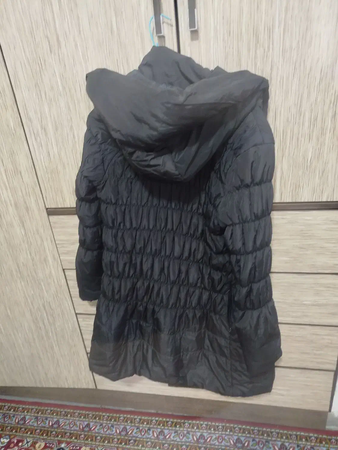 کاپشن زنانه درحدنو|لباس|سنندج, |دیوار