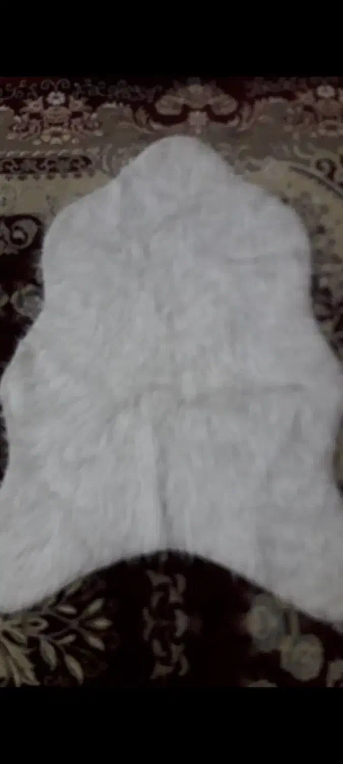 پادری خز|پادری|مشهد, موسوی قوچانی|دیوار