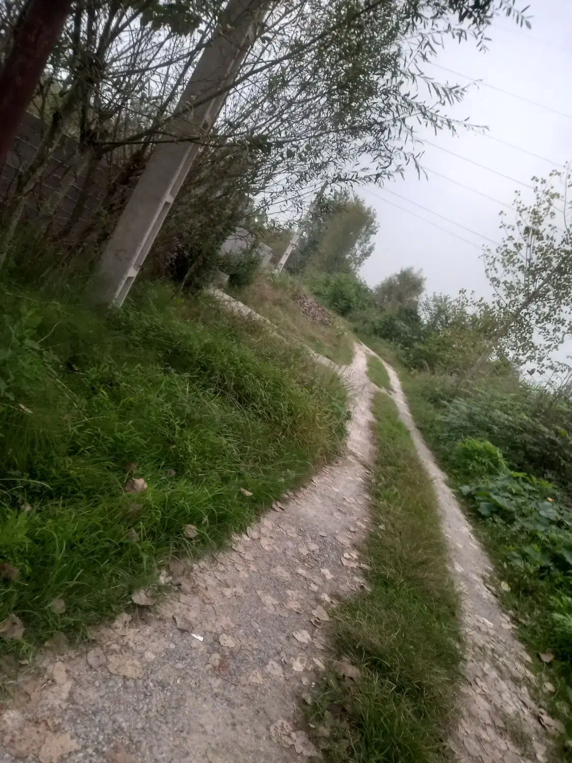 زمین ۲۵۰ متری باغی دور فنس|فروش زمین و ملک کلنگی|رشت, آب و برق|دیوار