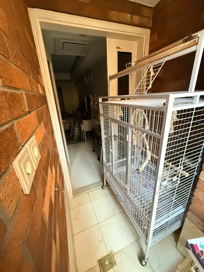 قفس کاکادو آرا کاسکو شاه طوطی|لوازم جانبی حیوانات|اصفهان, دانشگاه اصفهان|دیوار