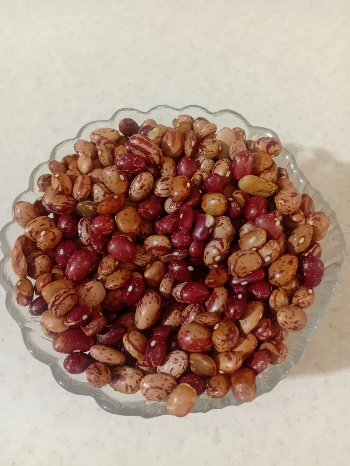 لوبیا چیتی|خوردنی و آشامیدنی|هشتگرد, شهرک راه آهن|دیوار