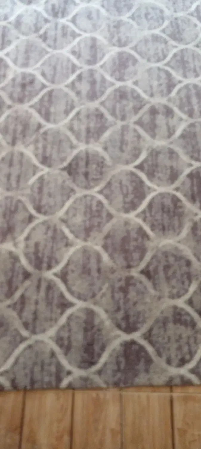 موکت پرز دار|موکت|قشم, |دیوار