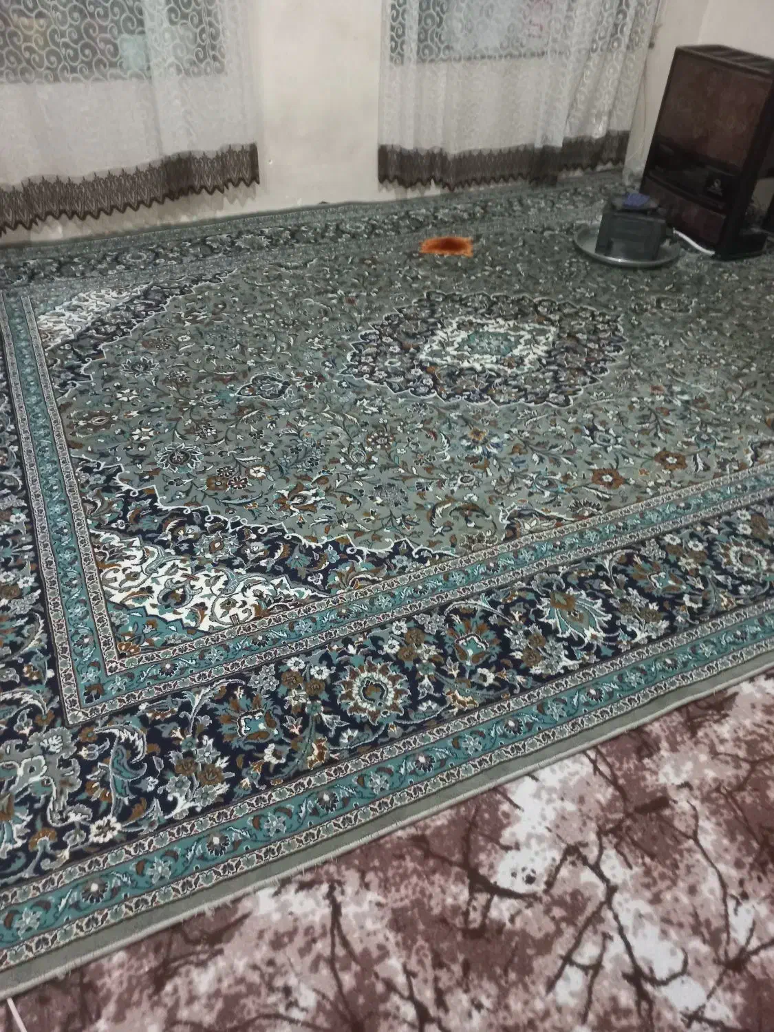 قالی|فرش|بجنورد, |دیوار