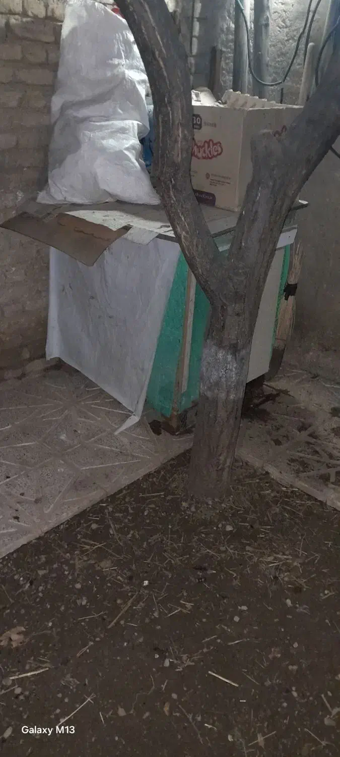 قفس|لوازم جانبی حیوانات|قره ضیاالدین, |دیوار