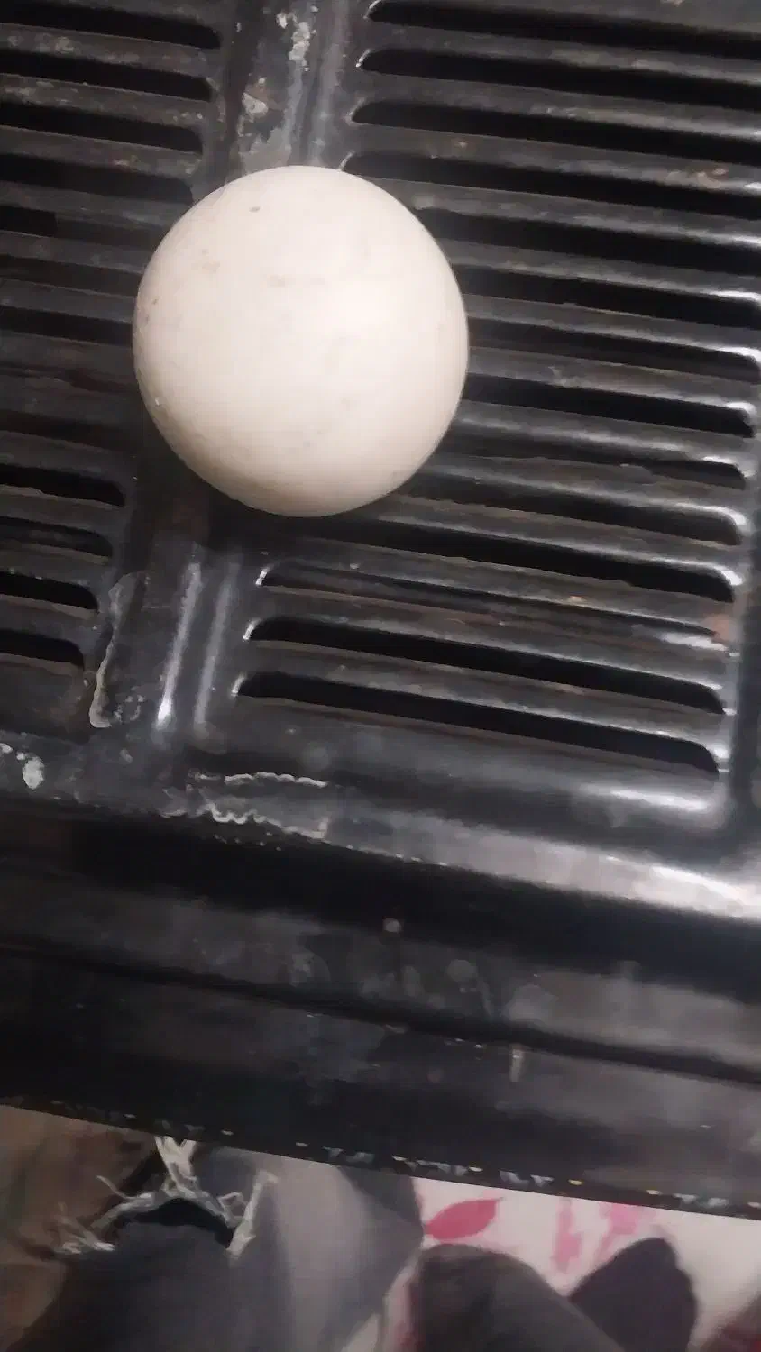 سنگ آسیاب اصل الماس|کلکسیون اشیاء عتیقه|تاکستان, |دیوار