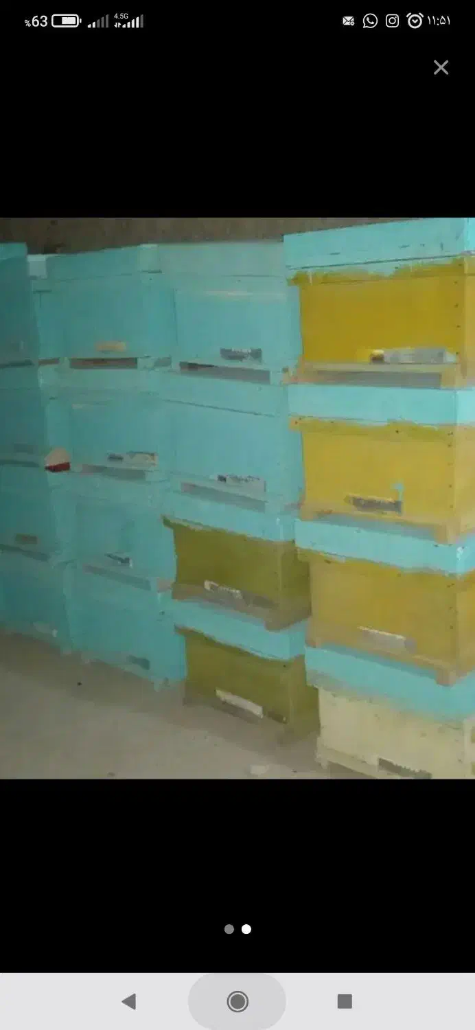 کندو خالی در حد نو|لوازم جانبی حیوانات|ابهر, |دیوار