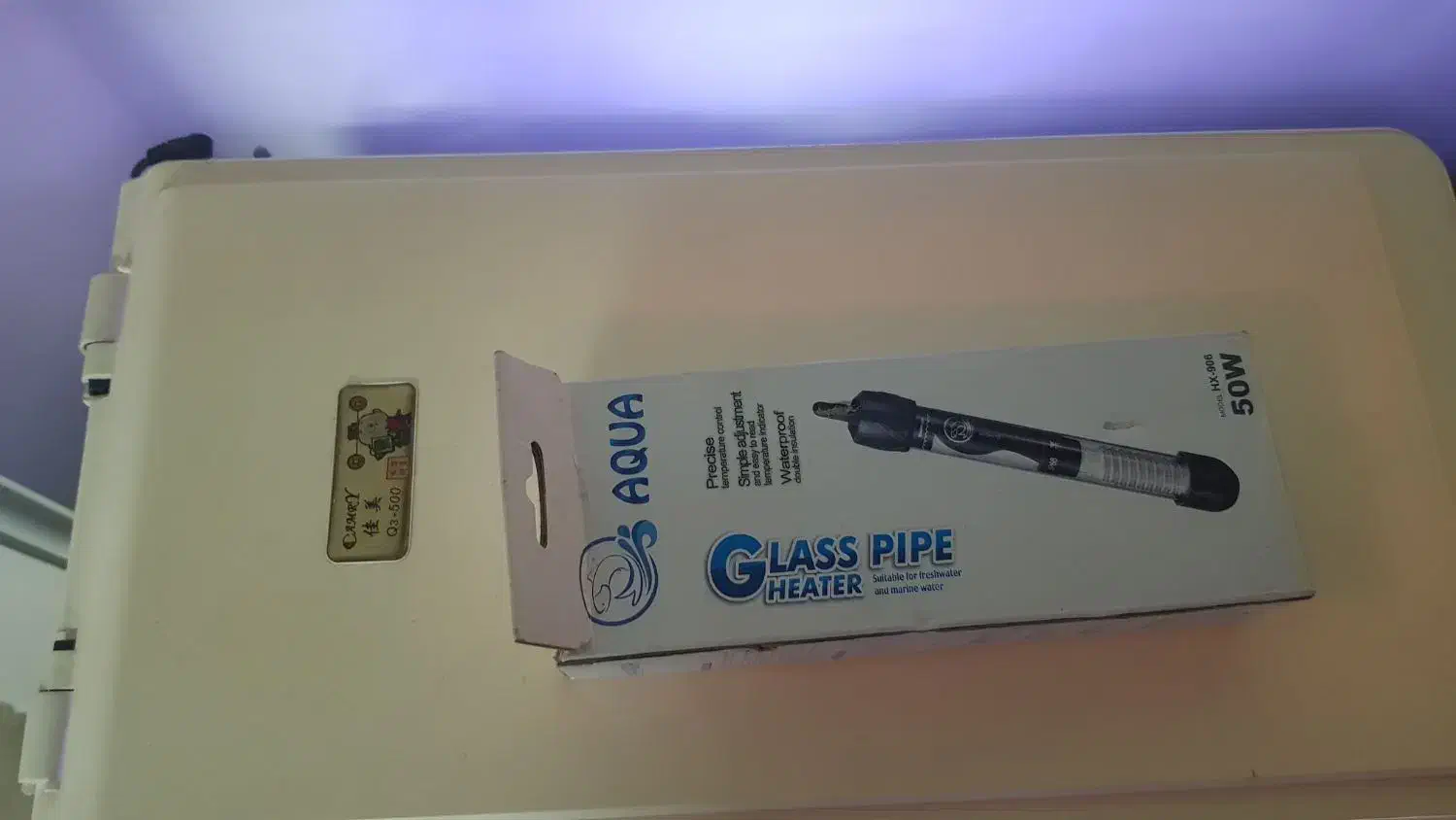 اکواریوم ماهی|ماهی|تهران, امیریه|دیوار