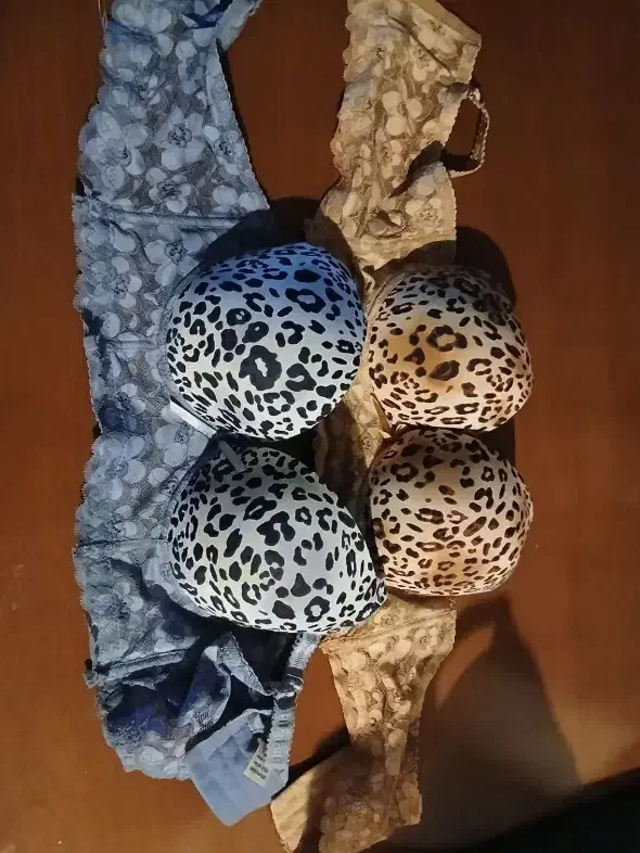 لباس زیر و پروتز زنانه|لباس|قدس, شهرقدس|دیوار