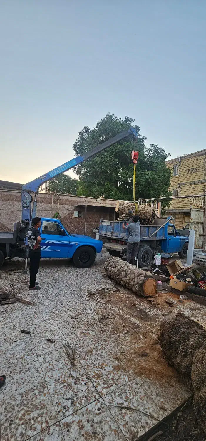 جرثقیل نیسان|خدمات حمل و نقل|شوش, |دیوار