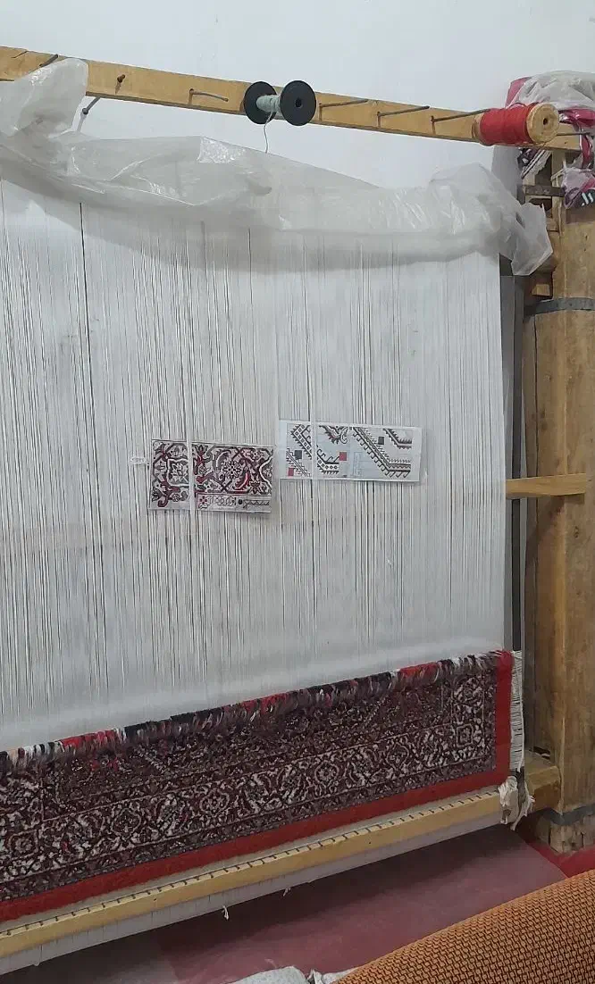 وسایل خانگی|فرش|سقز, |دیوار