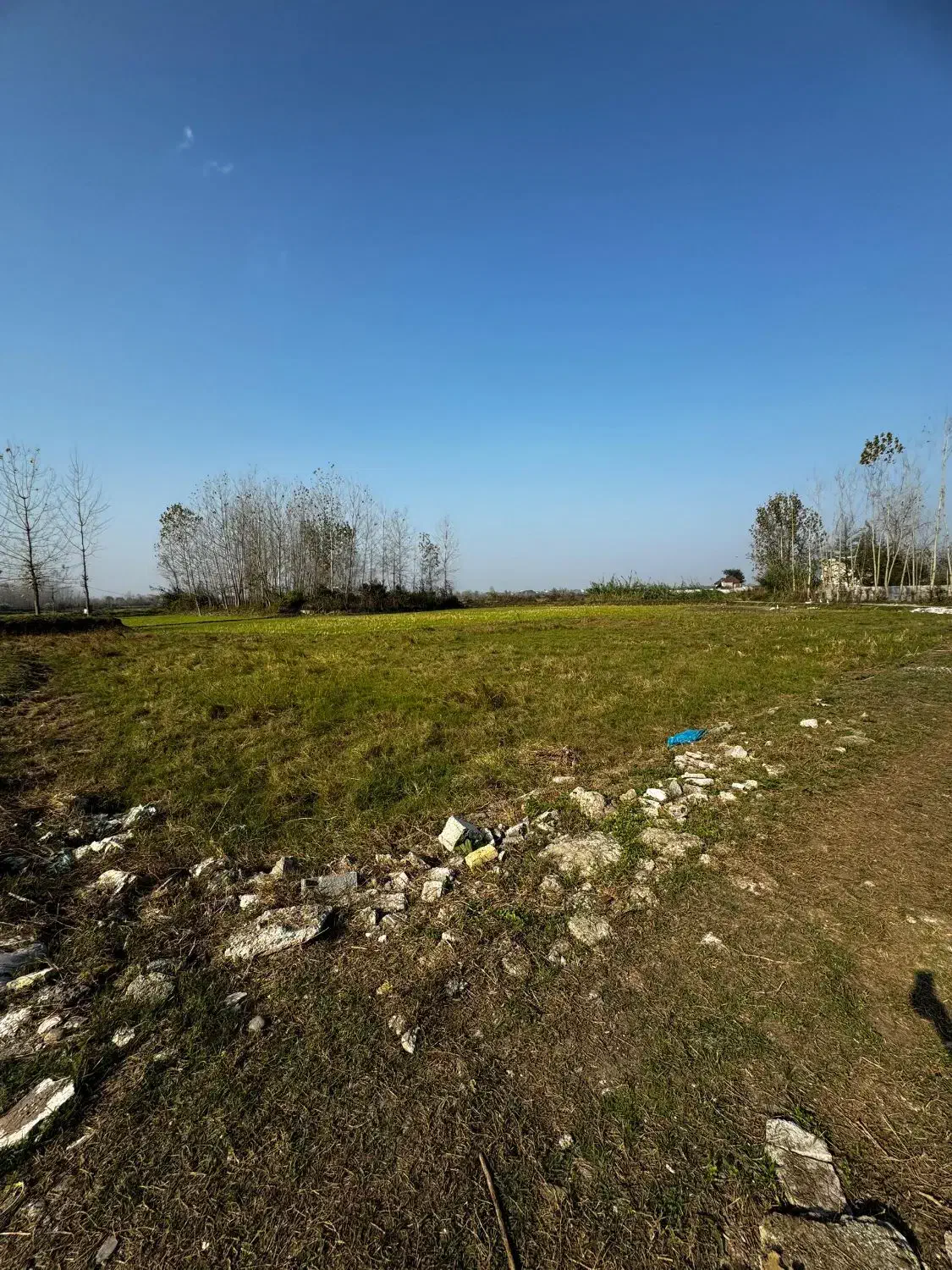 فروش زمین|فروش زمین و ملک کلنگی|آستانه اشرفیه, |دیوار