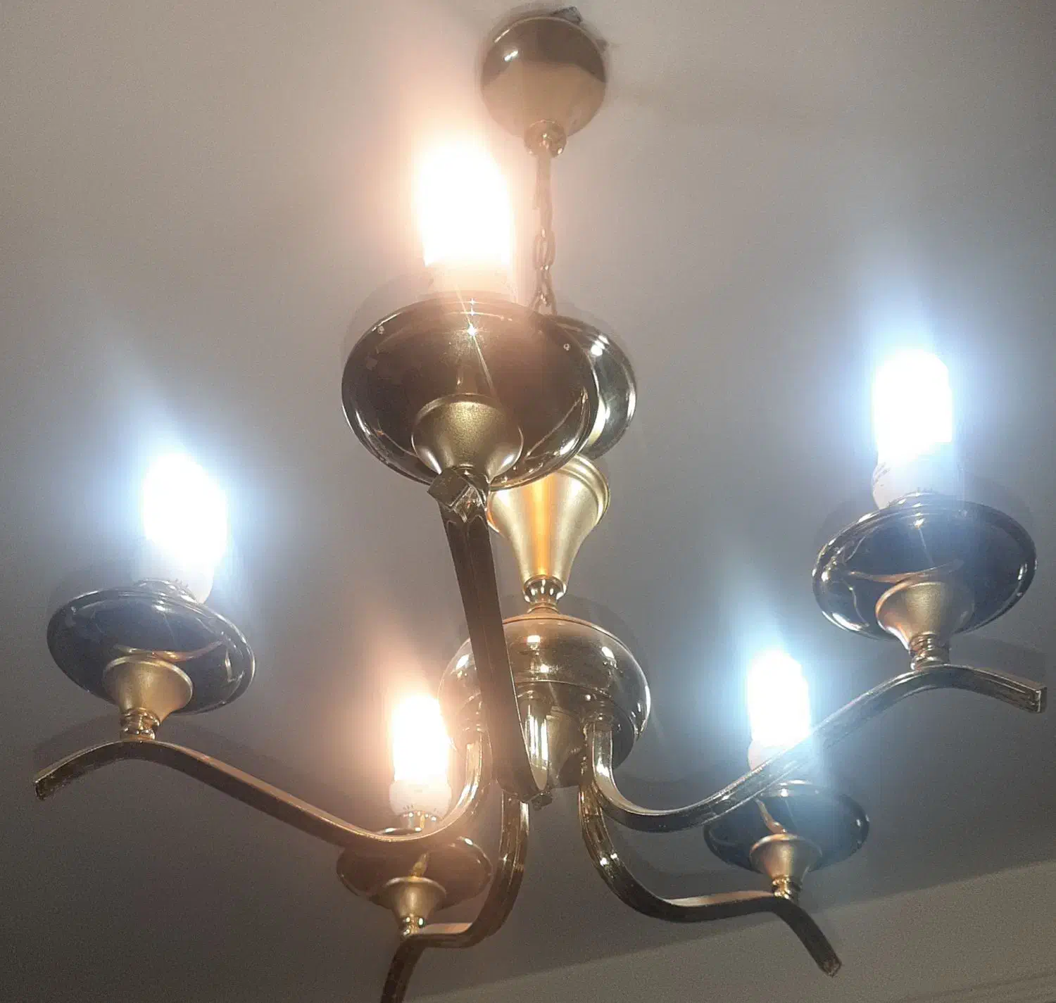 دو عدد اوستر پنج شاخه|لوستر و چراغ آویز|اراک, |دیوار