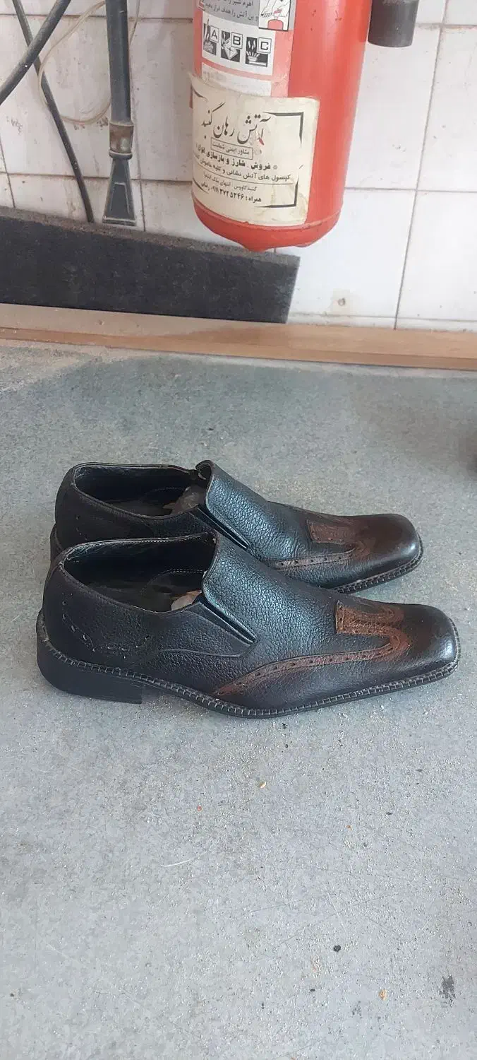 کفش|کیف، کفش، کمربند|گنبد کاووس, |دیوار