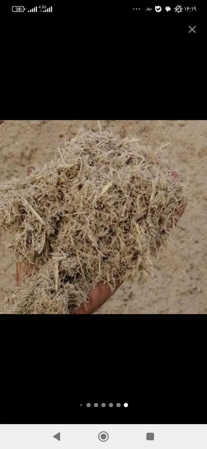 آذوقه احشام کا کاه|خدمات باغبانی و درختکاری|سیریک, |دیوار