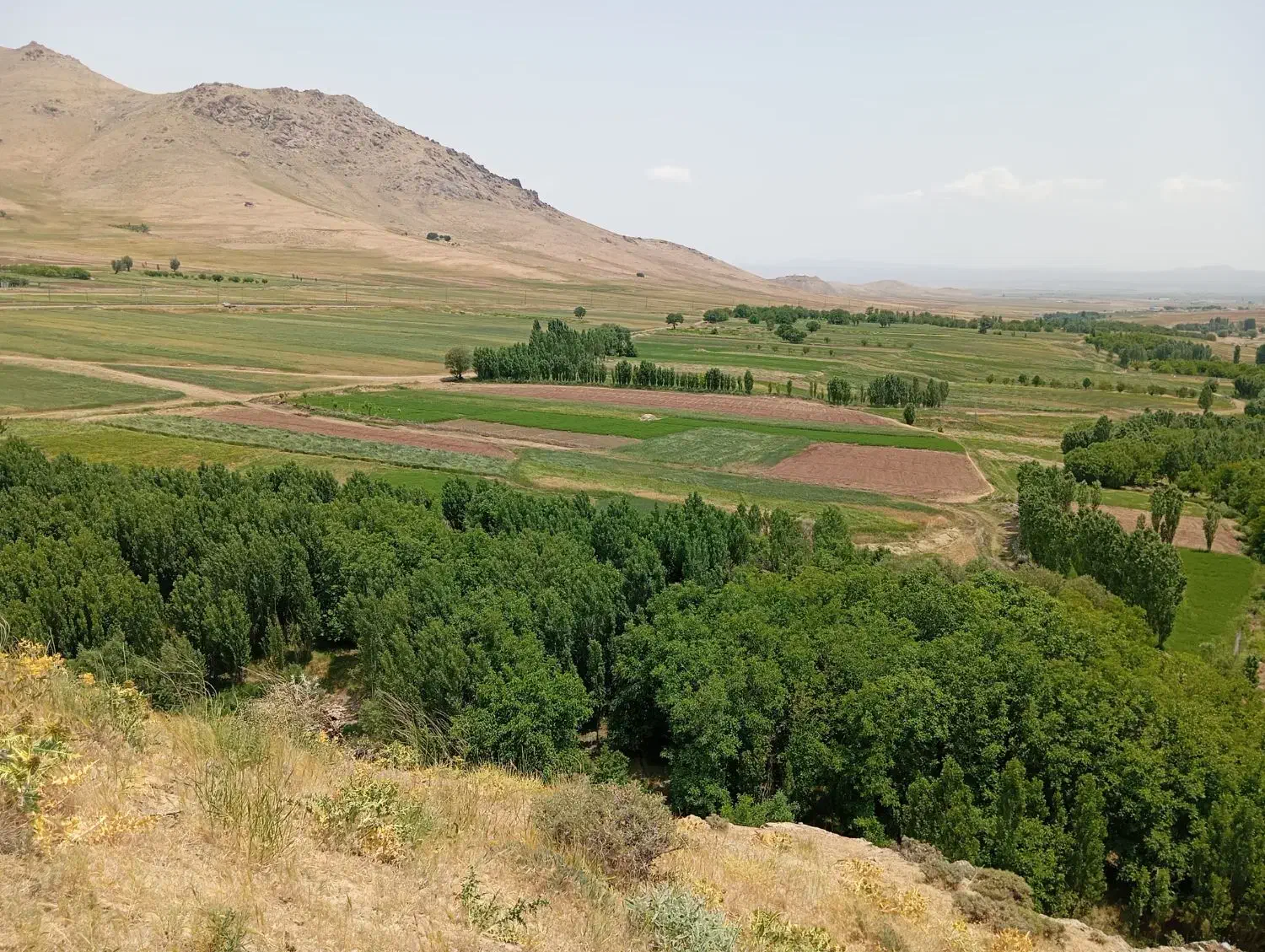 آرماتور بند|خدمات پیشه و مهارت|چهاردولی, |دیوار