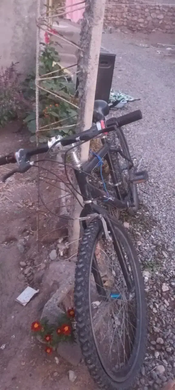 دوچرخه|دوچرخه، اسکیت، اسکوتر|خوی, |دیوار