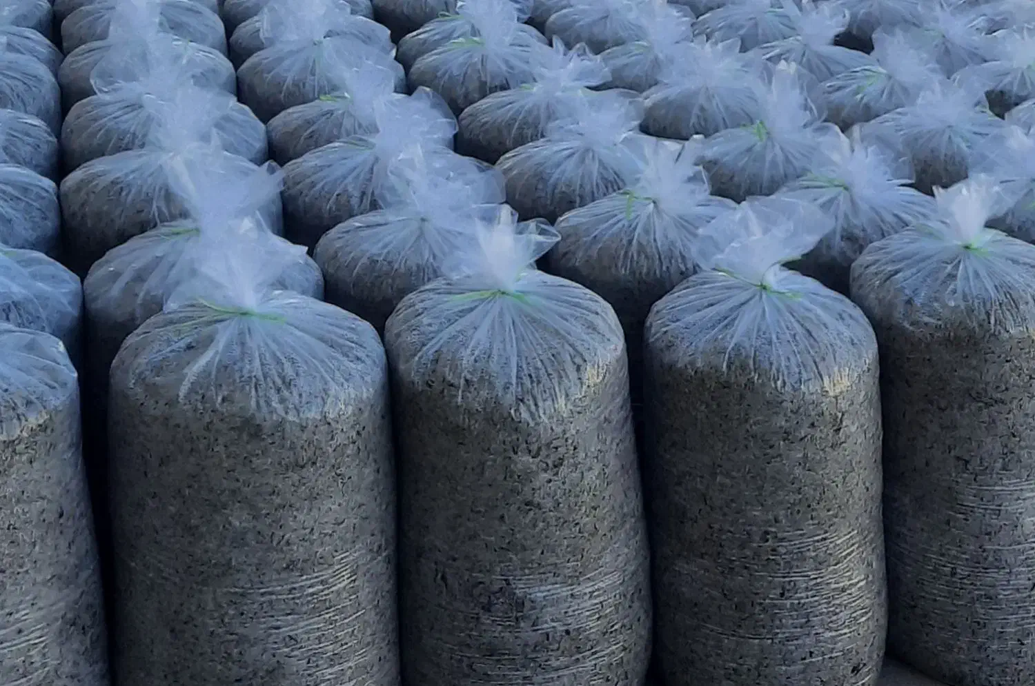 فروش تفاله چغندر کنگاور صحنه تویسرکان اسدآباد|عمده‌فروشی|کنگاور, |دیوار