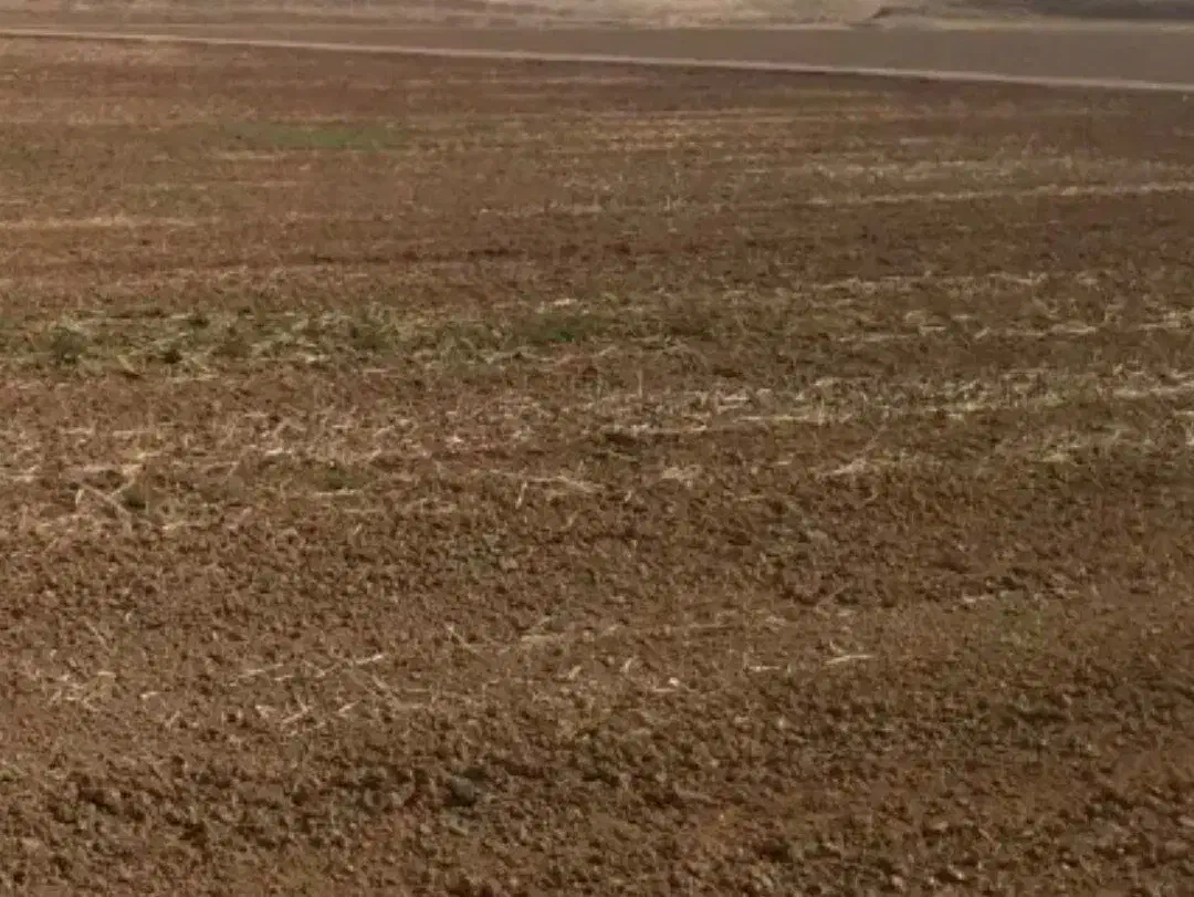 زمین کشاورزی قرچک ورامین چسبیده به شهرک صنعتی قرچک|فروش زمین و ملک کلنگی|قرچک, ولی آباد|دیوار