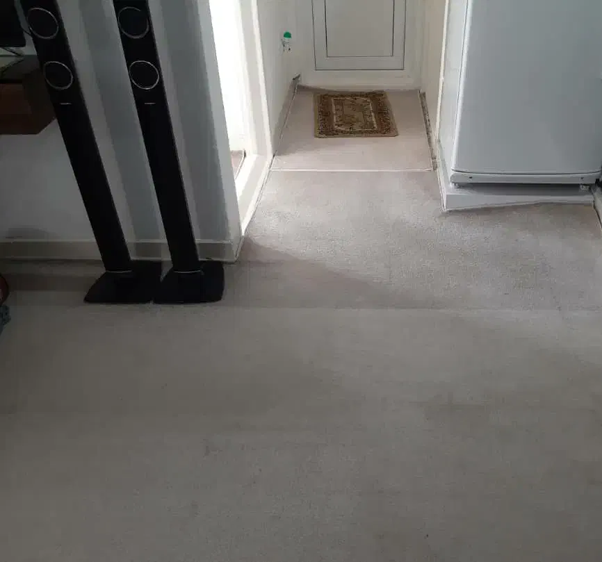 پالازموکت|موکت|ایلام, |دیوار